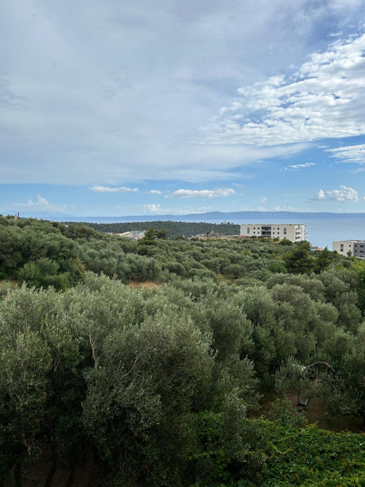 Apartment Mileta Makarska Buitenkant foto